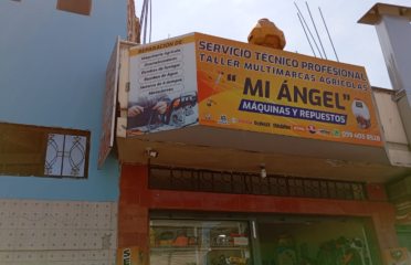 TALLER MULTIMARCAS MI ANGEL