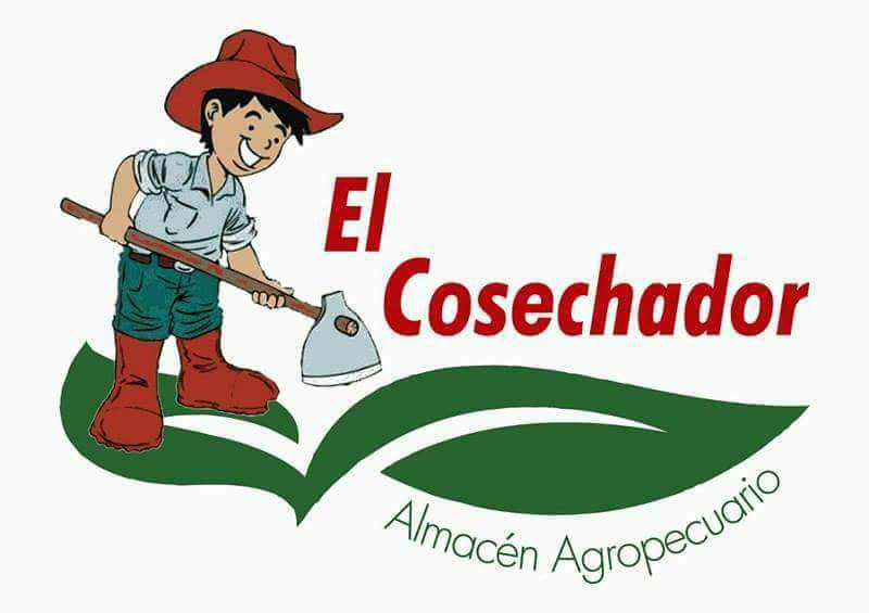 Listing Logo