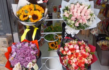 BLANFLOR