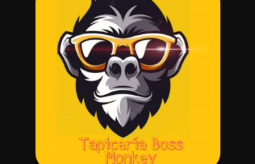 TAPICERÍA BOSS MONKEY AUTO LUJO